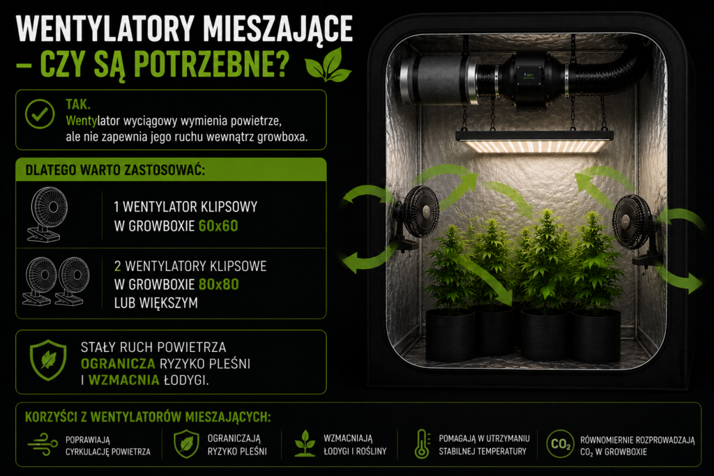 chatgpt image 22 cze 2026, 20 56 40