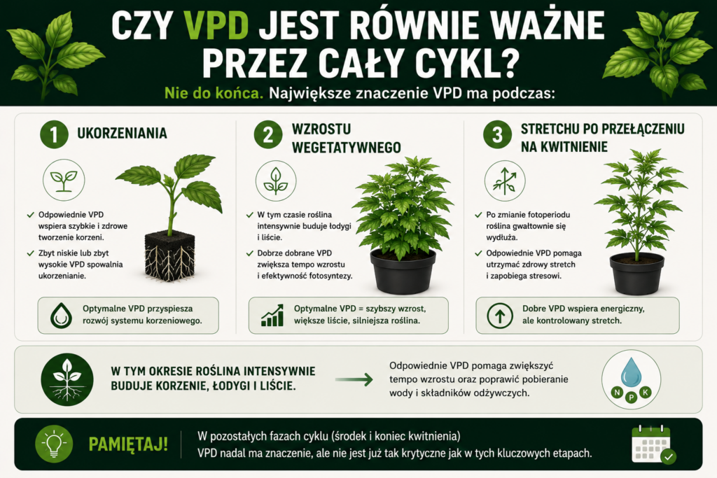 chatgpt image 24 cze 2026, 12 35 27