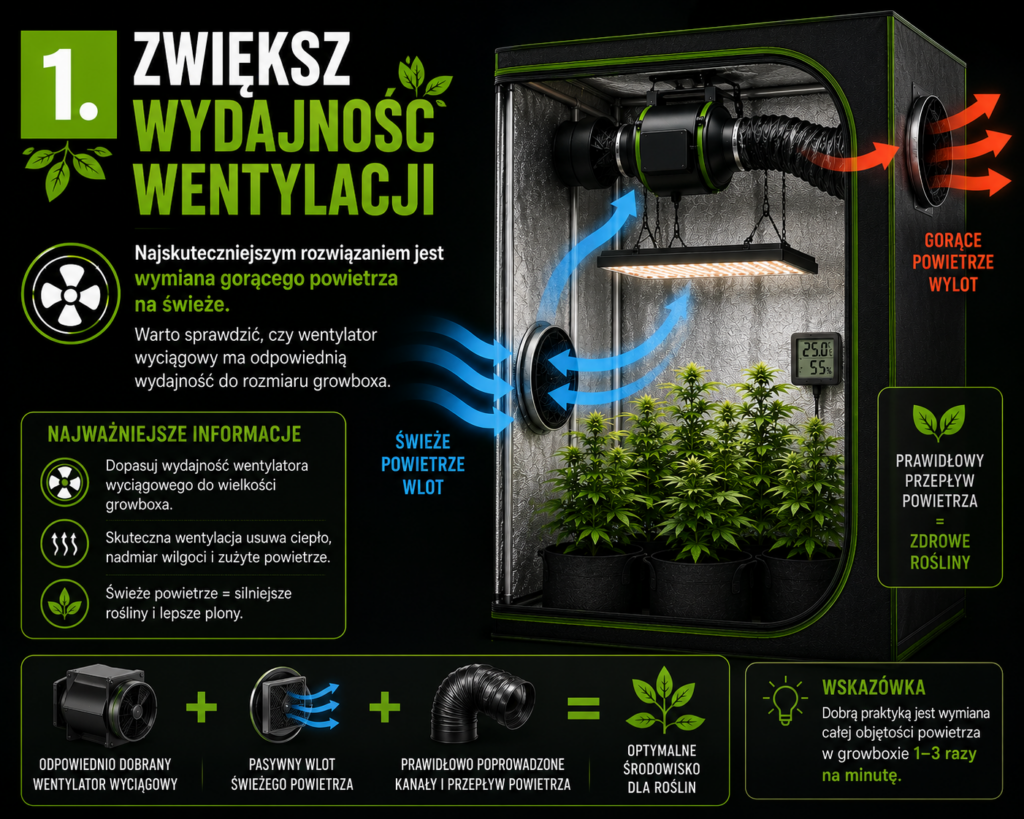 chatgpt image 6 cze 2026, 07 20 27
