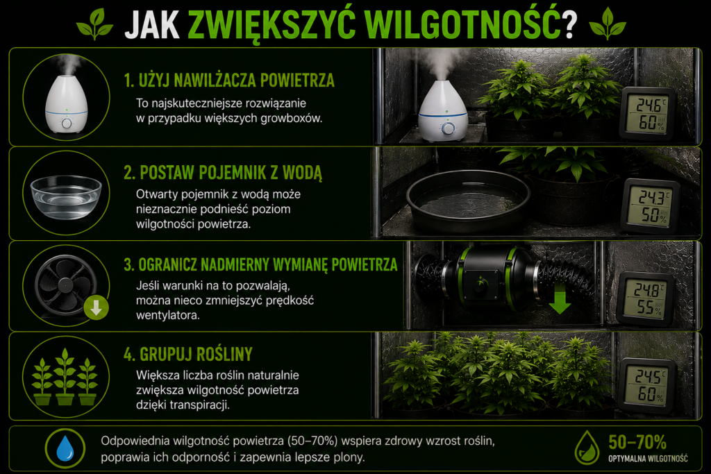 chatgpt image 6 cze 2026, 07 34 55