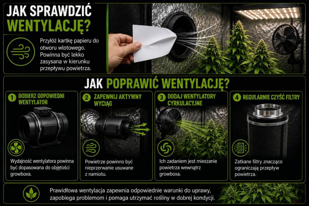 chatgpt image 6 cze 2026, 07 49 31